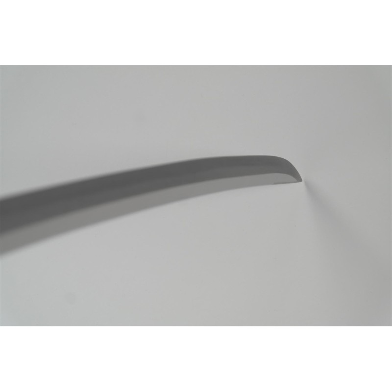 Practical Wakizashi Practical Wakizashi