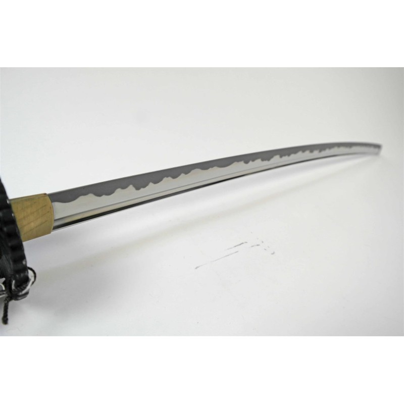 Iaido Gi + Practical Plus Iaito (Aanbieding)