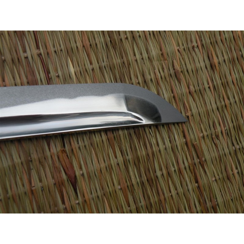 Iaido Gi tetron + Musashi Iaito