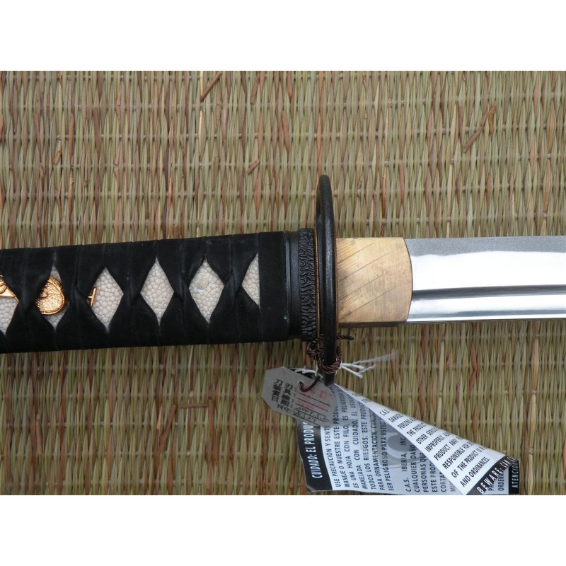 Iaido Gi tetron + Musashi Iaito