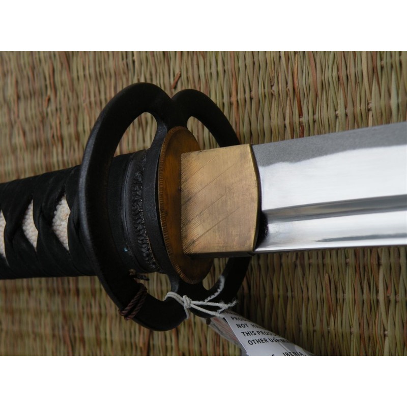 Iaido Gi tetron + Musashi Iaito