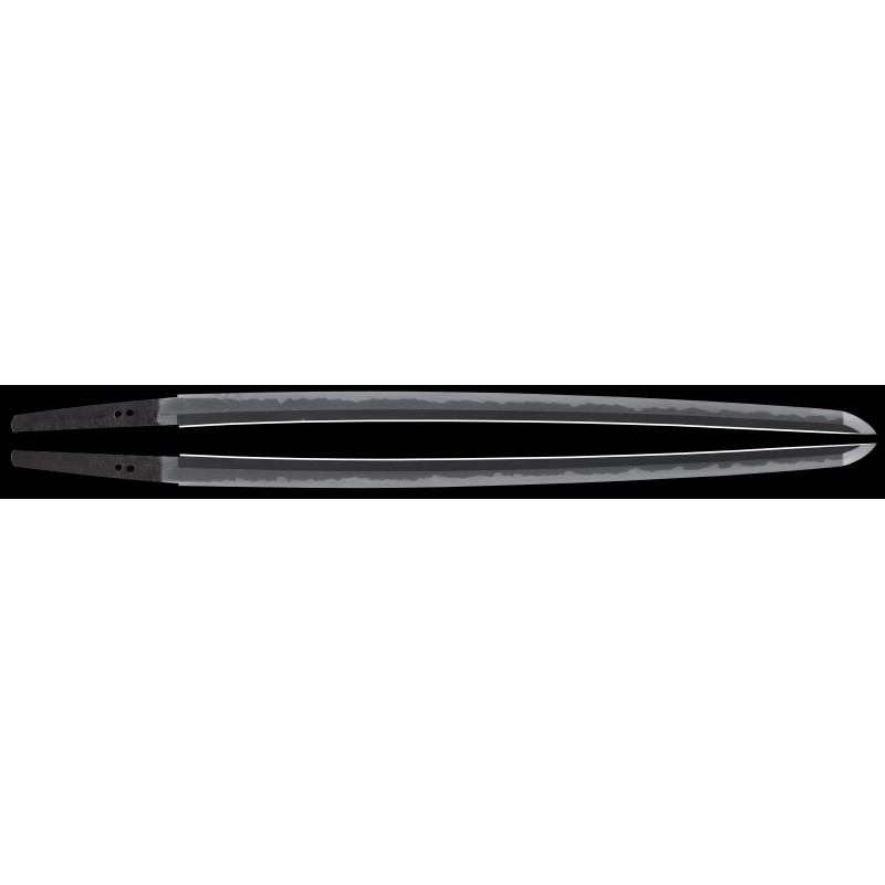 Harima Daijyo Fujiwara Shigetaka Katana + NBTHK Harima Daijyo Fujiwara Shigetaka Katana + NBTHK