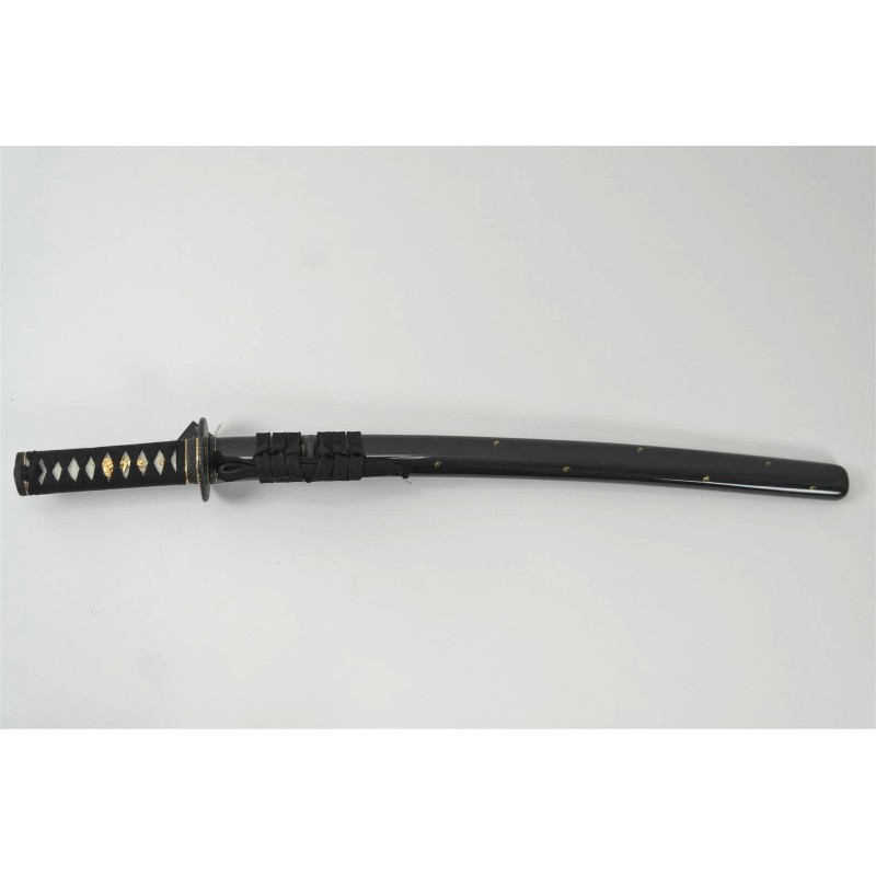 Tiger Wakizashi