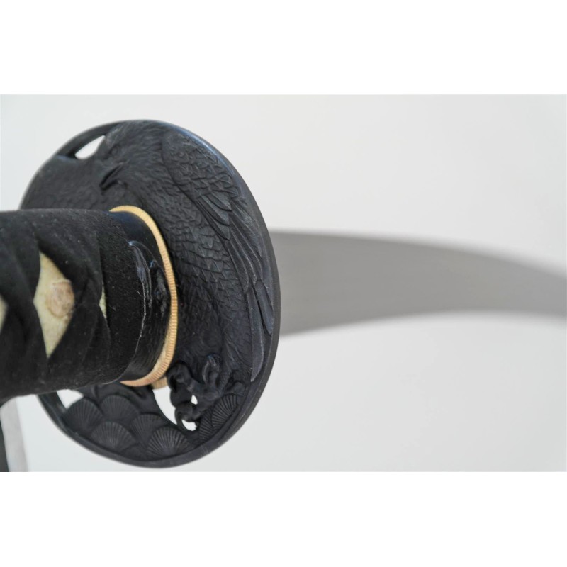 Raptor Wakizashi Raptor Wakizashi