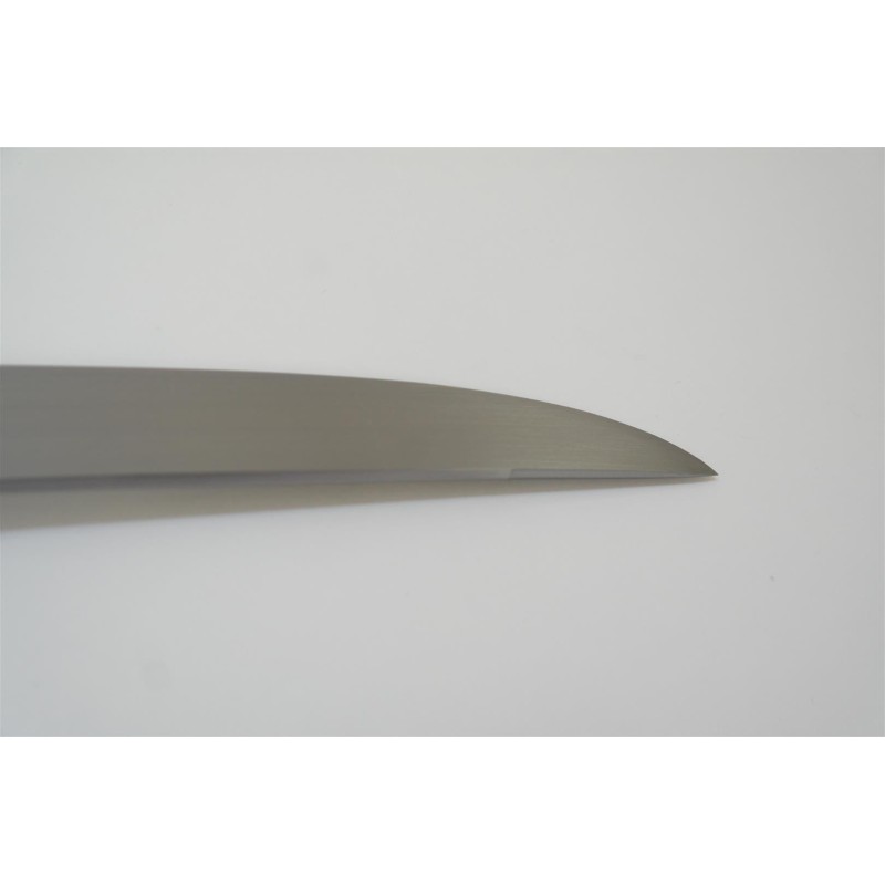 Raptor Wakizashi Raptor Wakizashi