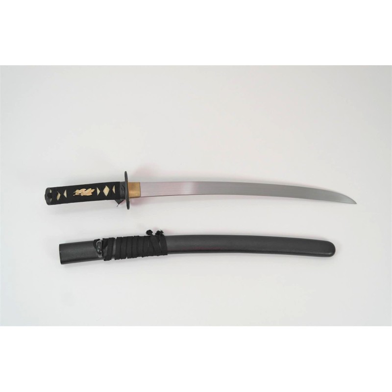 Raptor Wakizashi Raptor Wakizashi