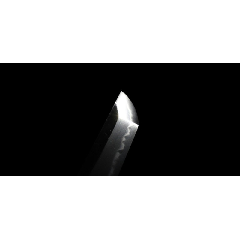 Shinshinto Jyumyo Wakizashi + NBTHK Shinshinto Jyumyo Wakizashi + NBTHK