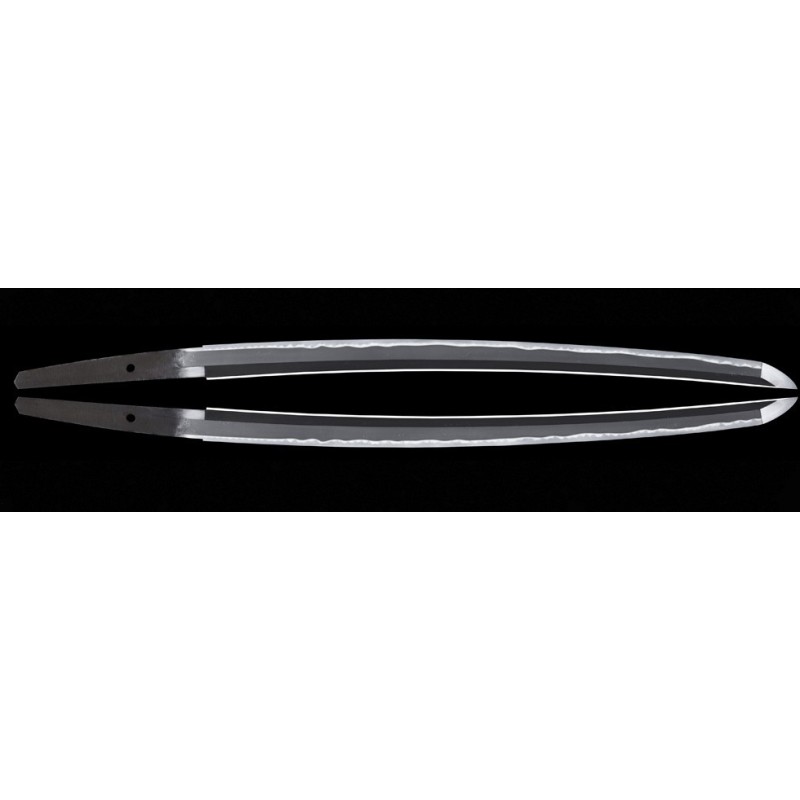 Shinshinto Jyumyo Wakizashi + NBTHK Shinshinto Jyumyo Wakizashi + NBTHK