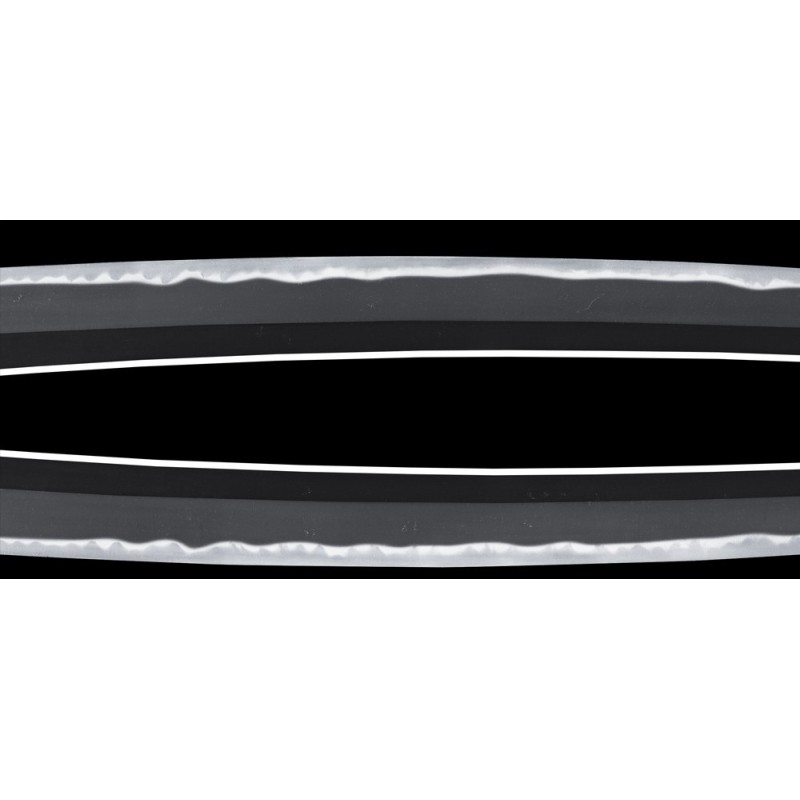 Shinshinto Jyumyo Wakizashi + NBTHK Shinshinto Jyumyo Wakizashi + NBTHK