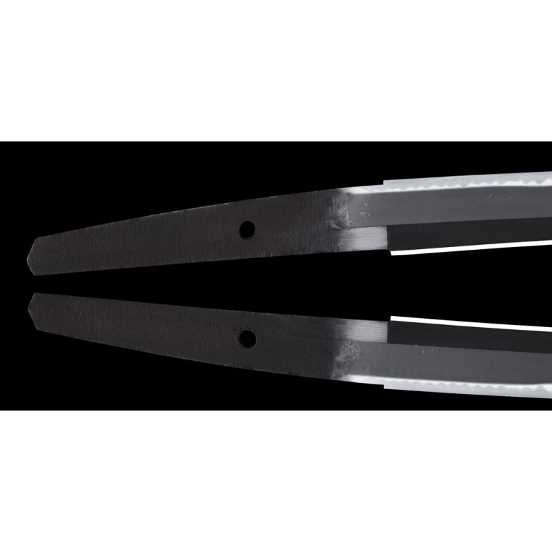 Shinshinto Jyumyo Wakizashi + NBTHK Shinshinto Jyumyo Wakizashi + NBTHK