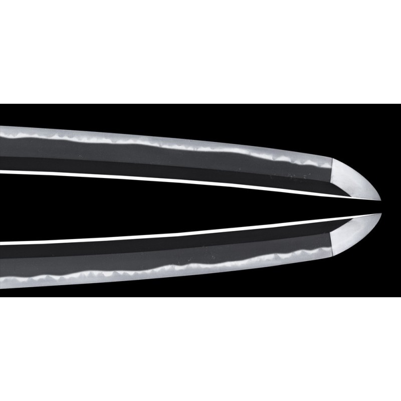 Shinshinto Jyumyo Wakizashi + NBTHK Shinshinto Jyumyo Wakizashi + NBTHK