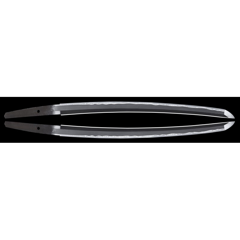 Shinshinto Jyumyo Wakizashi + NBTHK Shinshinto Jyumyo Wakizashi + NBTHK