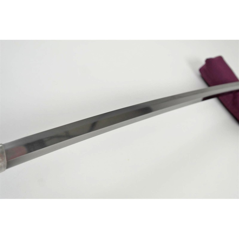 Enjyu Ieyoshi Katana + NBTHK