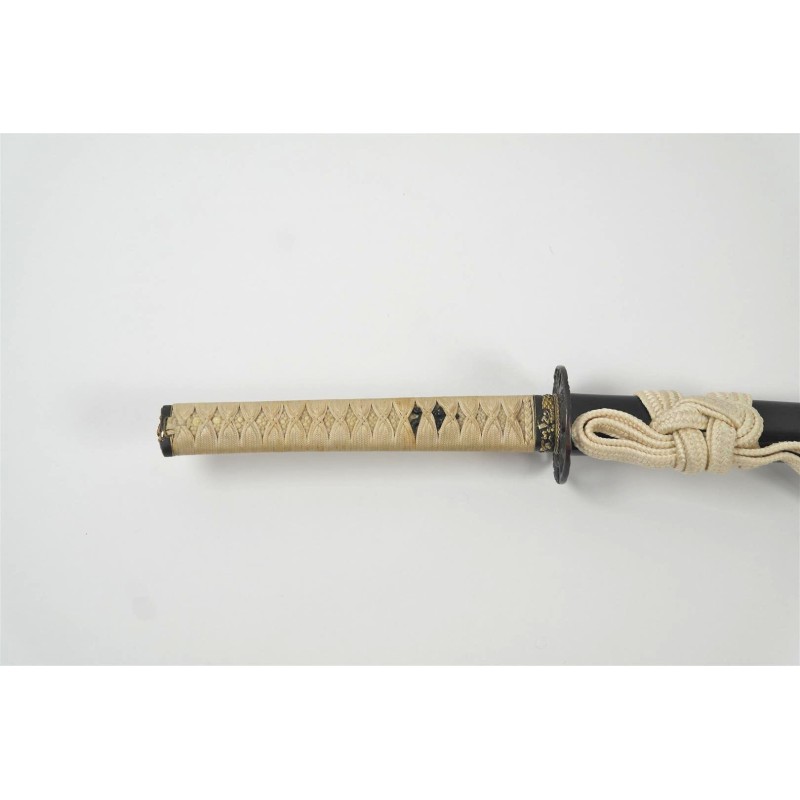 Enjyu Ieyoshi Katana + NBTHK