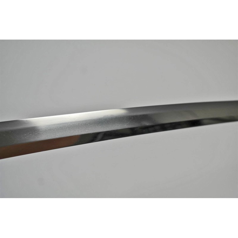 Enjyu Ieyoshi Katana + NBTHK