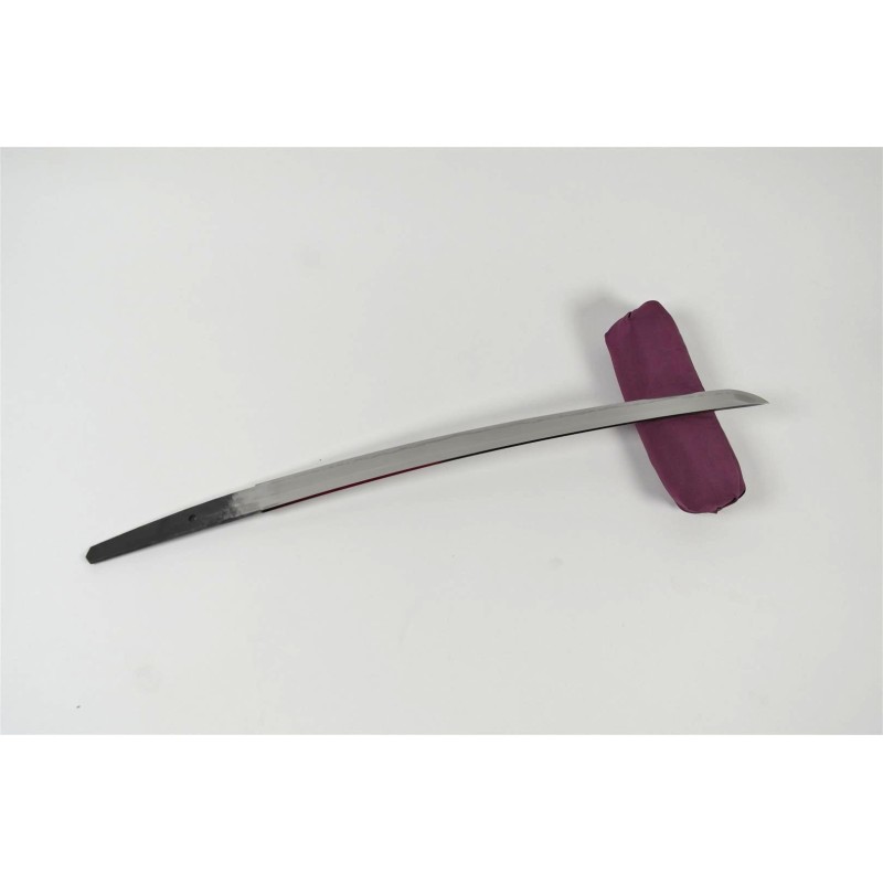 Shinshinto Jyumyo Wakizashi + NBTHK Shinshinto Jyumyo Wakizashi + NBTHK