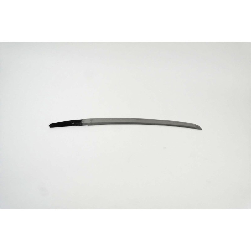 Shinshinto Jyumyo Wakizashi + NBTHK Shinshinto Jyumyo Wakizashi + NBTHK