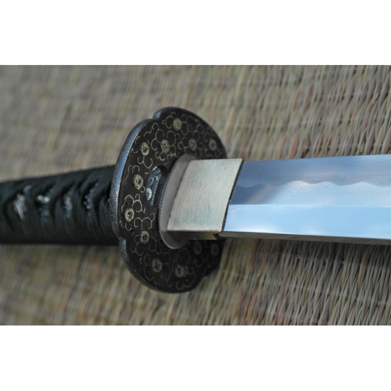 Chrysanthemum Katana Chrysanthemum Katana