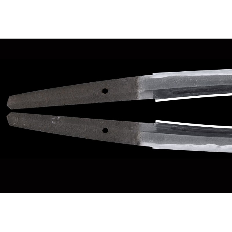 Echizen Shinto Wakizashi + NBTHK Echizen Shinto Wakizashi + NBTHK