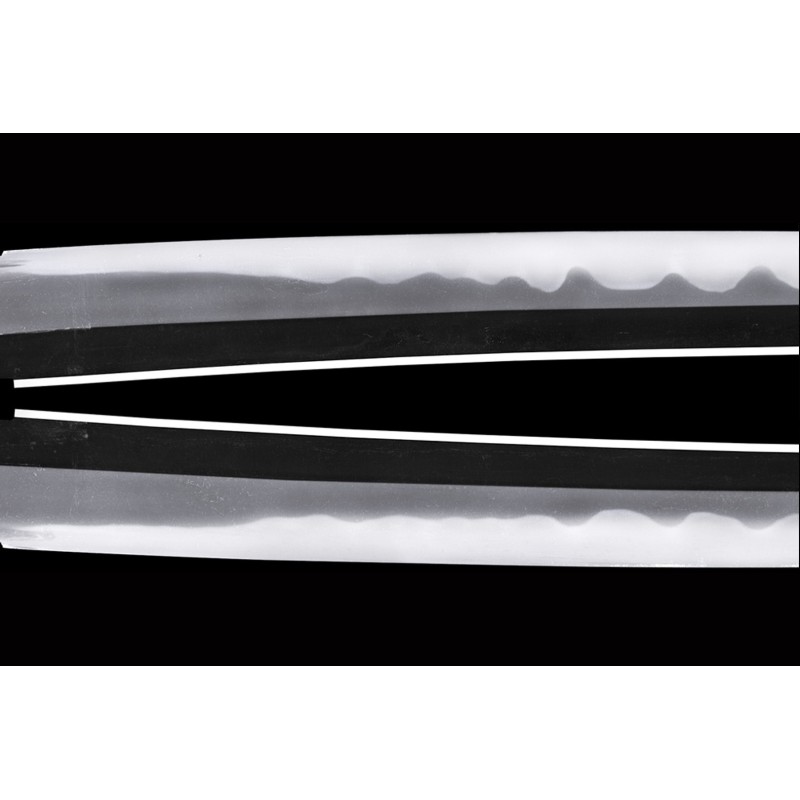 Ecchu Kami Kanekuni (2nd generation) Wakizashi + NBTHK