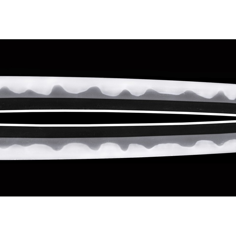 Ecchu Kami Kanekuni (2nd generation) Wakizashi + NBTHK