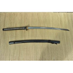 Practical Pro Elite Katana