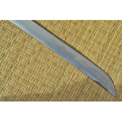 Practical Pro Elite Katana