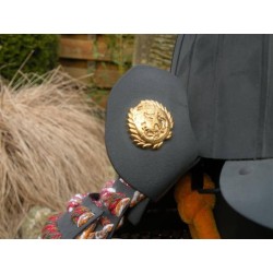 Date Masamune Kabuto