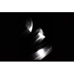 Yamashiro Daijo Minamoto Kunishige Wakizashi + NBTHK Yamashiro Daijo Minamoto Kunishige Wakizashi + NBTHK