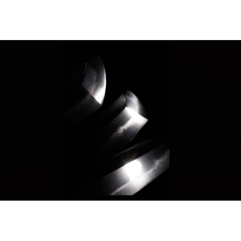 Yamashiro Daijo Minamoto Kunishige Wakizashi + NBTHK Yamashiro Daijo Minamoto Kunishige Wakizashi + NBTHK