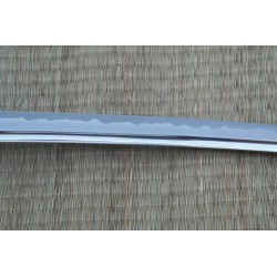 Tokugawa Katana