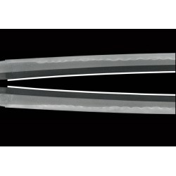 Yamashiro Kami Fujiwara Nobutoshi Yamashiro Kami Fujiwara Nobutoshi