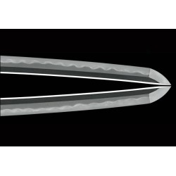 Yamashiro Kami Fujiwara Nobutoshi Yamashiro Kami Fujiwara Nobutoshi