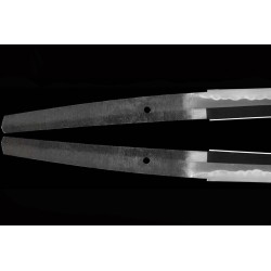 Isshinsai Munehira Katana + NBTHK Tokubetsu Hozon Isshinsai Munehira Katana + NBTHK Tokubetsu Hozon