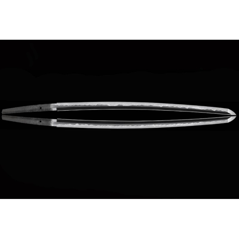 Isshinsai Munehira Katana + NBTHK Tokubetsu Hozon Isshinsai Munehira Katana + NBTHK Tokubetsu Hozon