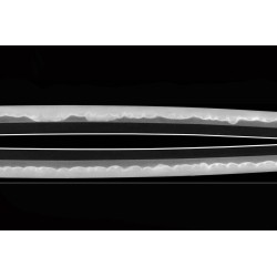 Isshinsai Munehira Katana + NBTHK Tokubetsu Hozon Isshinsai Munehira Katana + NBTHK Tokubetsu Hozon