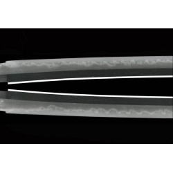 Fujiwara Takada Katana + NBTHK Fujiwara Takada Katana + NBTHK