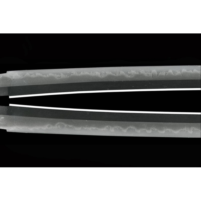 Fujiwara Takada Katana + NBTHK Fujiwara Takada Katana + NBTHK