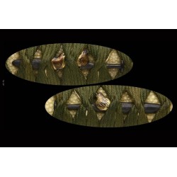 Bungo Ju Yamashiro Daijo Fujiwara Yoshiyuki Katana + NBTHK Bungo Ju Yamashiro Daijo Fujiwara Yoshiyuki Katana + NBTHK