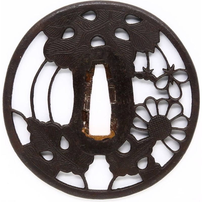 Bungo Ju Yamashiro Daijo Fujiwara Yoshiyuki Katana + NBTHK Bungo Ju Yamashiro Daijo Fujiwara Yoshiyuki Katana + NBTHK