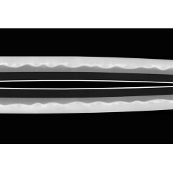 Kashu Ju Fujiwara Ietada Wakizashi + Tokubetsu NBTHK Kashu Ju Fujiwara Ietada Wakizashi + Tokubetsu NBTHK