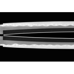 Kashu Ju Fujiwara Ietada Wakizashi NBTHK Tokubetsu-Zertifikat Kashu Ju Fujiwara Ietada Wakizashi NBTHK Tokubetsu-Zertifikat