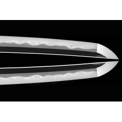 Kashu Ju Fujiwara Ietada Wakizashi NBTHK Tokubetsu-Zertifikat Kashu Ju Fujiwara Ietada Wakizashi NBTHK Tokubetsu-Zertifikat