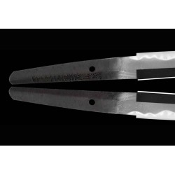 Kashu Ju Fujiwara Ietada Wakizashi + Tokubetsu NBTHK Kashu Ju Fujiwara Ietada Wakizashi + Tokubetsu NBTHK