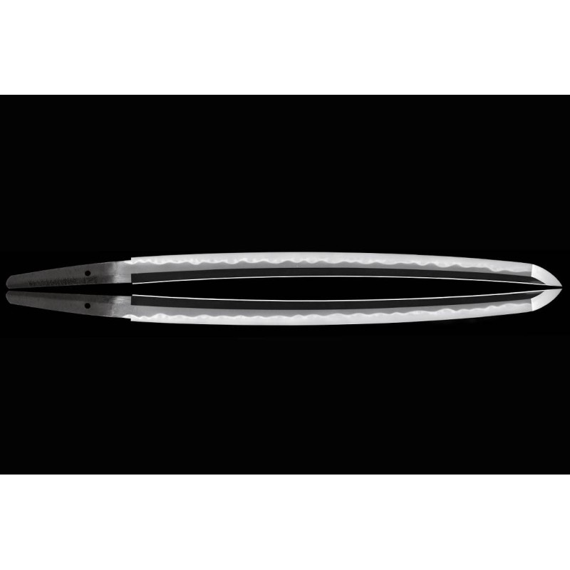 Kashu Ju Fujiwara Ietada Wakizashi NBTHK Tokubetsu-Zertifikat Kashu Ju Fujiwara Ietada Wakizashi NBTHK Tokubetsu-Zertifikat