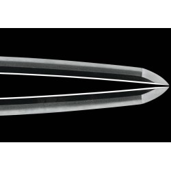 So Ecchu On Norishige Katana NBTHK Hozon So Ecchu On Norishige Katana NBTHK Hozon