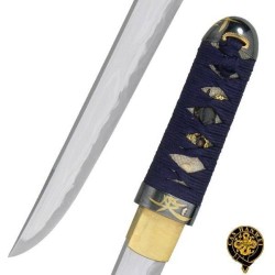 Orchid Tanto Orchid Tanto
