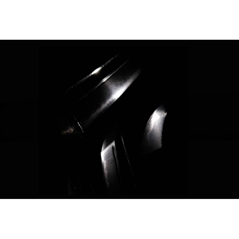 Mumei Den Ecchu Mitsuyuki Katana + NBTHK Hozon