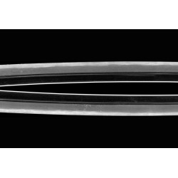 Mumei Den Ecchu Mitsuyuki Katana + NBTHK Hozon