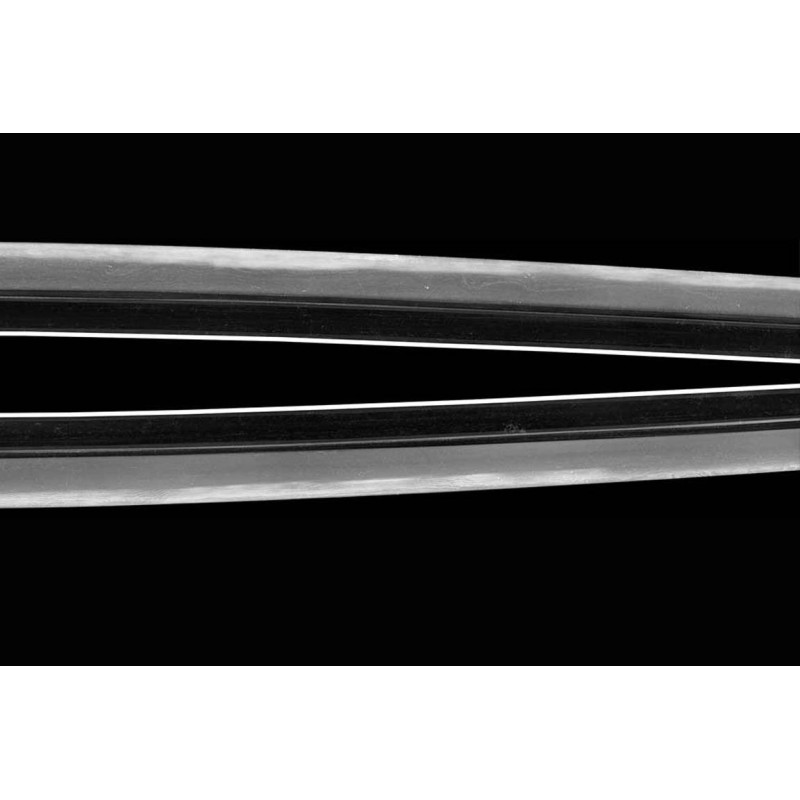 Mumei Den Ecchu Mitsuyuki Katana + NBTHK Hozon